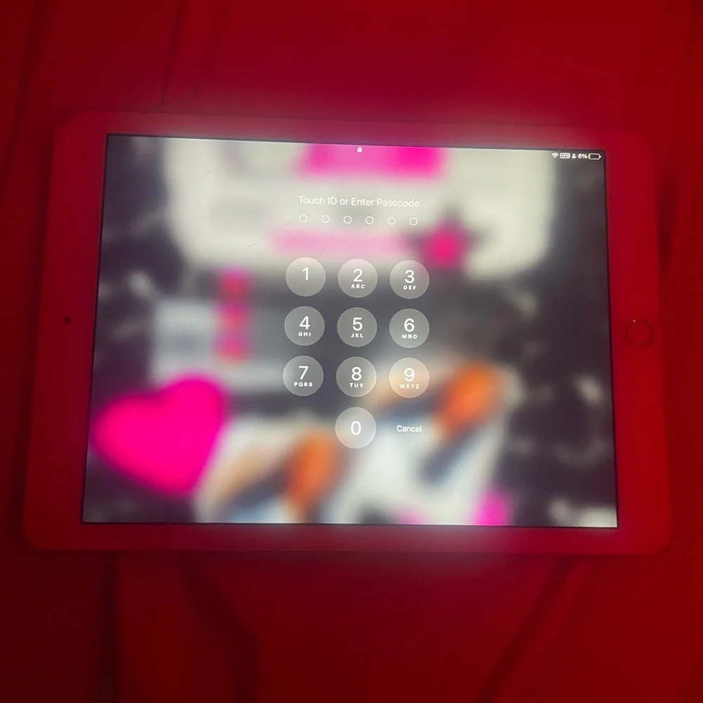 Apple iPad - Silver Finish